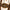 Bavarian Guy Lederhosen Halloween Fantasy Costume Male, Adult, Brown