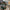 New Retro Christmas Outfit Men Deer Jacquard Sweater Autumn and Winter Loose Lazy Style Men and Women Sweater Men Clothing
